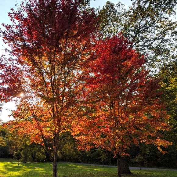 Meet your Posher, Kae - Picture 1 of 1